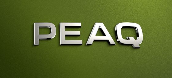 ŠKODA PEAQ bude nová vlajková loď