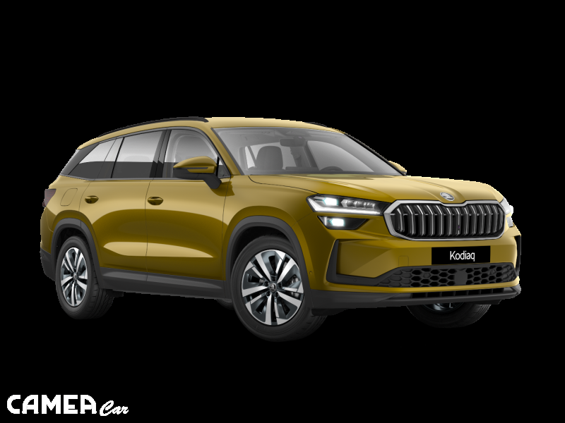 Škoda Kodiaq Top Selection 2,0 TDI 142 kW 7-stup. automat. 4x4